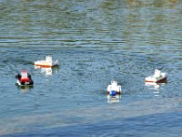 23. November 2014 - Eine kleine Exkursion an den Parksee in Stuttgart-Nord